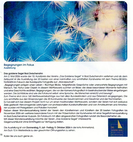 Goldenes Segel Pressespiegel 